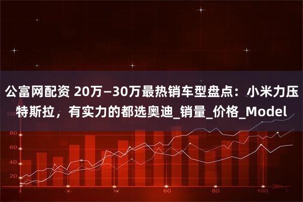 公富网配资 20万—30万最热销车型盘点：小米力压特斯拉，有实力的都选奥迪_销量_价格_Model