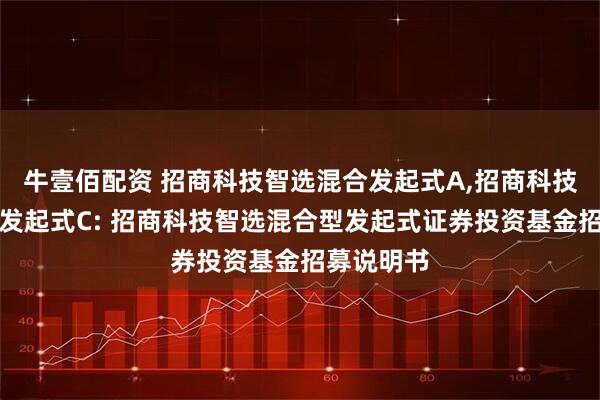 牛壹佰配资 招商科技智选混合发起式A,招商科技智选混合发起式C: 招商科技智选混合型发起式证券投资基金招募说明书