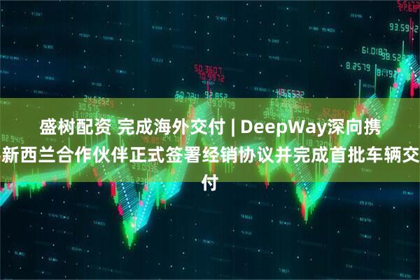 盛树配资 完成海外交付 | DeepWay深向携手新西兰合作伙伴正式签署经销协议并完成首批车辆交付