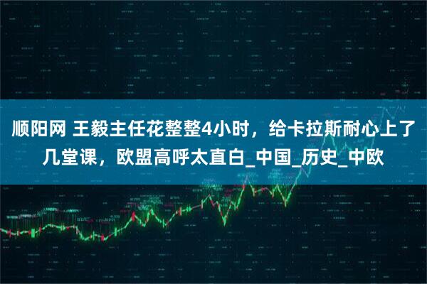 顺阳网 王毅主任花整整4小时，给卡拉斯耐心上了几堂课，欧盟高呼太直白_中国_历史_中欧