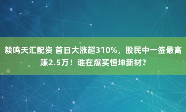 毅鸣天汇配资 首日大涨超310%，股民中一签最高赚2.5万！谁在爆买恒坤新材？