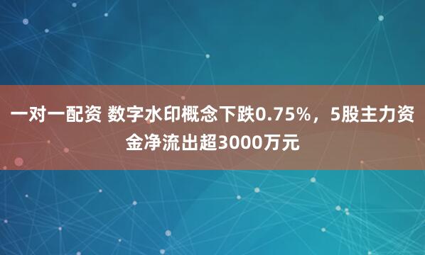 一对一配资 数字水印概念下跌0.75%，5股主力资金净流出超3000万元