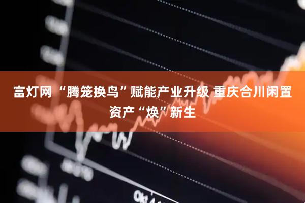 富灯网 “腾笼换鸟”赋能产业升级 重庆合川闲置资产“焕”新生