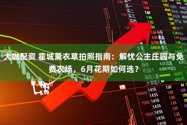 大咖配资 霍城薰衣草拍照指南：解忧公主庄园与免费农场，6月花期如何选？
